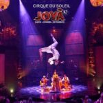 Cancún: Cirque du Soleil JOYÀ Ticket - Various Ticket Packages to Suit Every Preference