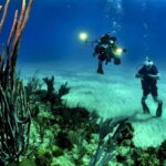 Cancun: Cozumel Diving for Beginners - Convenient Pickup and Transportation from Cancun