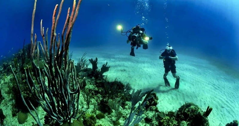 Cancun: Cozumel Diving for Beginners - Convenient Pickup and Transportation from Cancun