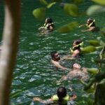 Cancun: Discover the Hidden Treasures: Exploring 3 Jungle Cenotes - Active Adventures: Ziplining and Tarzan Leaps in the Jungle