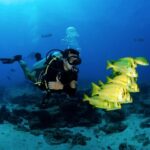 Cancun: Dive and Stay Experience - Start Your Dive Adventure in Quintana Roo