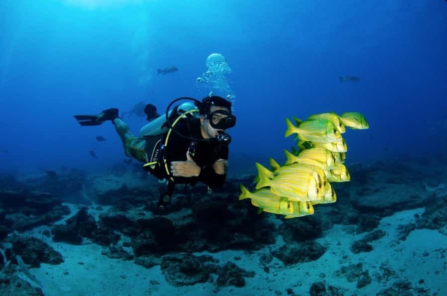 Cancun: Dive and Stay Experience - Start Your Dive Adventure in Quintana Roo