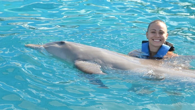Cancún: Dolphin Encounter on Isla Mujeres with Buffet - Meeting the Dolphin Discovery Team on Isla Mujeres