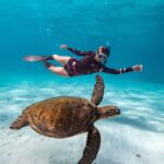 Cancun: Explore Tulum, swim with turtles, and visit a cenote - Swimming with Sea Turtles at Akumal Beach