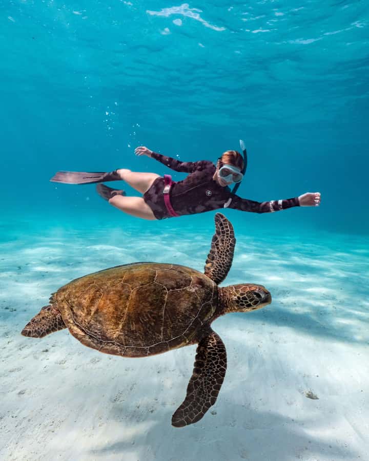 Cancun: Explore Tulum, swim with turtles, and visit a cenote - Swimming with Sea Turtles at Akumal Beach