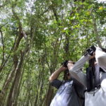 Cancún: Guided Birdwatching Hike - Exploring the Ruta de Los Cenotes Trail
