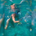 Cancun: Half-Day Private Catamaran for 35 guests - Convenient Pickup and Ground Transportation Included