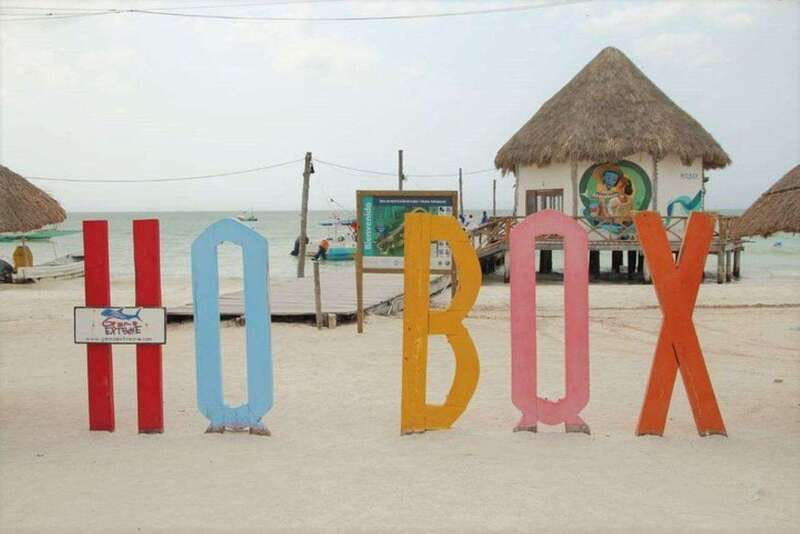 Cancun: Holbox Island Birdwatching and Wildlife Adventure - From Cancun to the Natural Beauty of "Little Bird Island"