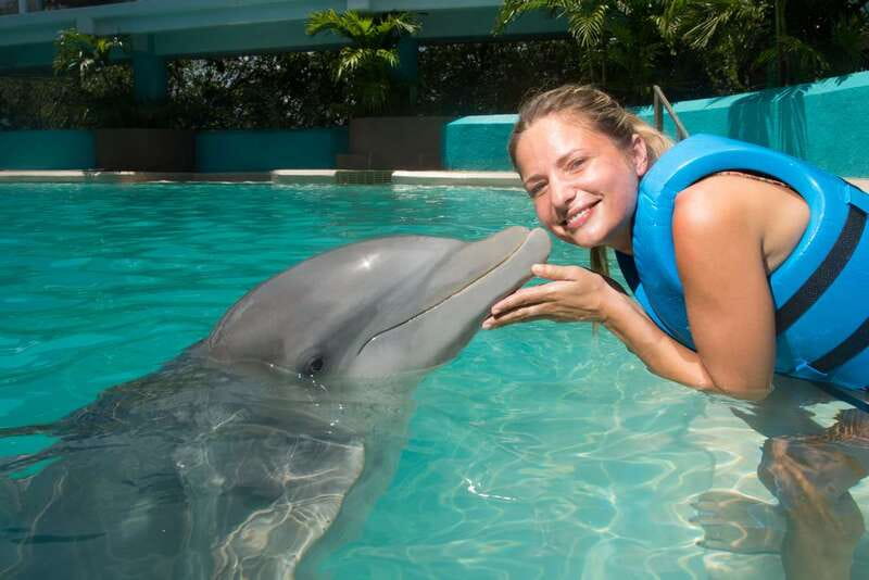 Cancun: Interactive Aquarium - Swim with Dolphins Splash - The Location of Cancuns Interactive Aquarium in Plaza La Isla