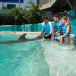 Cancun: Interactive Aquarium Ticket and Swim with Dolphins - Inside the Interactive Aquarium: What You Will See and Do
