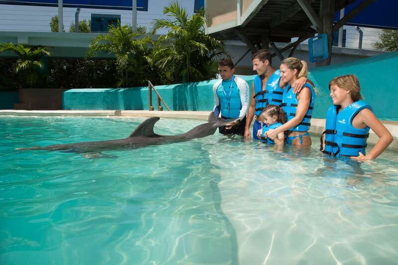 Cancun: Interactive Aquarium Ticket and Swim with Dolphins - Inside the Interactive Aquarium: What You Will See and Do
