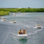Cancun Mangroves Tour with Shared Speed Boats Ride and Snorkelling - Riding Through the Lush Nichupte Lagoon