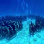 Cancun: MUSA Diving for certified divers morning dive trip - Meeting Point and Transportation in Cancun