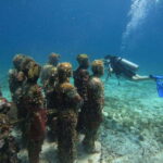 Cancun: Musa Underwater Museum & Reef Discover Scuba Diving - Starting Point at Real Inn Cancún for a Smooth Check-In