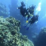 Cancun: Open water diver course in Cancun - isla Mujeres - The Easy, 2-Day Certification Process in Cancun