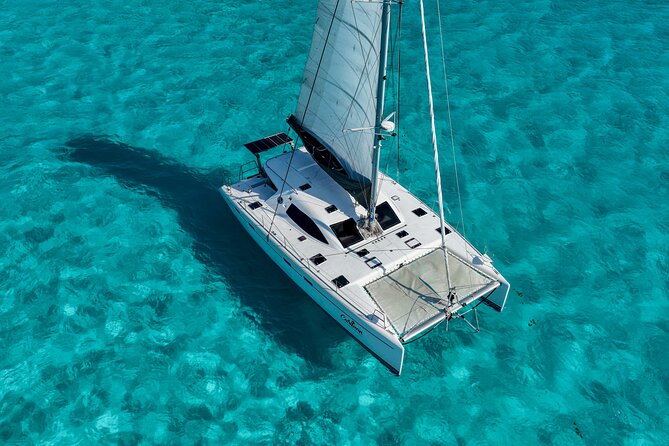 Cancún Private Catamaran with Snorkel and Open Bar - Snorkeling at El Meco Reef: Vibrant Marine Life in Clear Waters