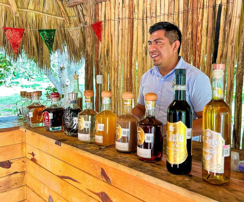 Cancun: Private Chichen Itza Tour, Cenote Swim, & Lunch - Pickup and Transportation from Cancun or Playa del Carmen