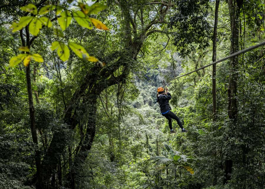 Cancun: Quad adventure, ziplines, and a swim in a jungle cenote - Six Zip Lines Over the Treetops with Spectacular Views
