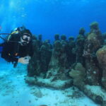 Cancun: Scuba Diving for Certified Divers, 3 options to dive - Challenging Reefs Outside of the Bay