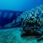 Cancun: Shipwreck and Reef Dives - The WWII Shipwrecks: C-55 and C-58
