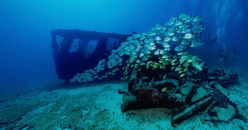 Cancun: Shipwreck and Reef Dives - The WWII Shipwrecks: C-55 and C-58