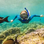 Cancun: Snorkeling Adventure at Puerto Morelos Reef - Discover Puerto Morelos Reef: The World’s Second Largest Coral Reef