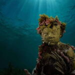 Cancun: Snorkeling Tour at MUSA The Underwater Museum - The Start: Meeting at Aquaworld Cancún