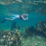 Cancun: Snorkeling Tour with Hotel Pickup - Easy and Comfortable Transportation in Cancun