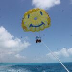 Cancun Speed Boat, Parasailing and Dolphin Beach with Transport - Puerto Maya Cancun: Self-Driven Speedboat Adventure