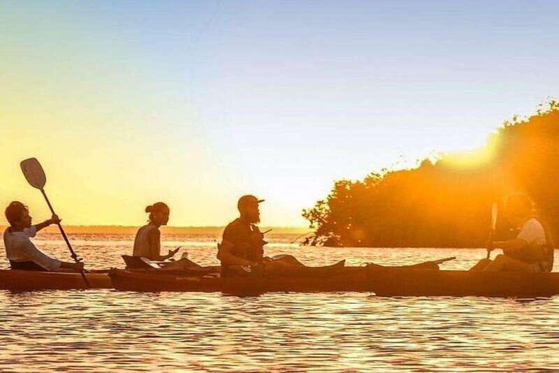 Cancun: Sunrise or Sunset Kayak Tour - Kayaking in Cancun’s Lush Nichupté Lagoon