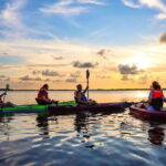 Cancun: Sunset Kayak Experience in the Mangroves - The Itinerary: A Focused Experience of Nature and Wildlife