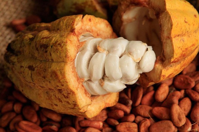 Cancun tour 4x1 Tour of Tulum, Coba, Cenote and Playa del Carmen - Exploring the Tulum Ruins with Caribbean Views