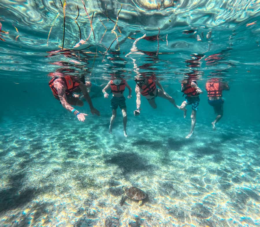 Cancun: Tulum Ruins, Akumal Turtles, Cenote & Caves Tour - Exploring the Tulum Ruins Before the Crowds