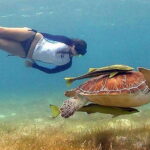 Cancun: Tulum Ruins & Snorkeling with Sea Turtles Tour - Tulum Ruins and Akumal: A Perfect Combo Day Trip