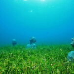 Cancún: Underwater Museum & Reef for Certified Scuba Divers - Starting Point and Practical Details