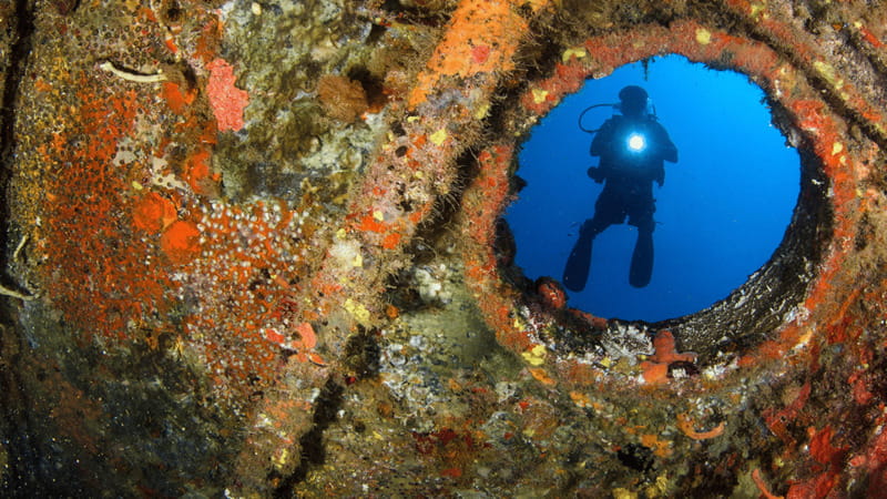 Cancún: Wreck and Reef for Certified Scuba Divers - Exploring the Wreck General Anaya at 85 Feet