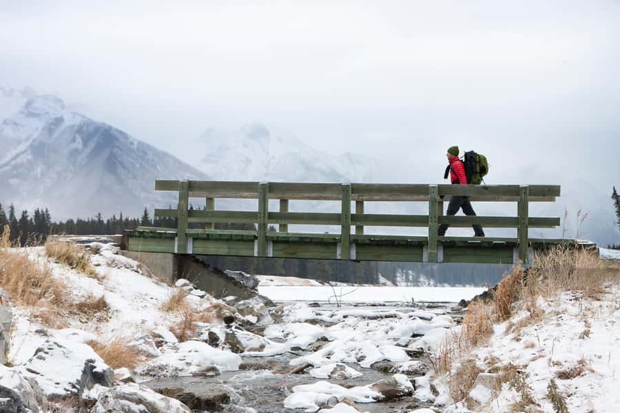 Canmore: Columbia Icefield Tour with Lunch & Hikes - Starting the Day with Scenic Pickup in Canmore