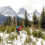 Canmore: Explore Winter Wildlife Tracks - 2hr Nature Walk - Wildlife Tracking and Scenic Trails in Canmore