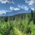 Canmore: LOST TOWNS and Untold Stories - Hiking Tour 3hrs - Starting Point at Canmore Recreation Centre