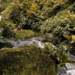 Canyoning Adventure in Ribeira da Salga (Sao Miguel - Azores) - The Activities: Rappelling and Jumping