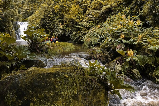 Canyoning Adventure in Ribeira da Salga (Sao Miguel - Azores) - The Activities: Rappelling and Jumping