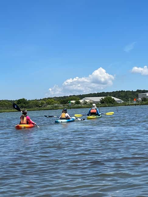 Cape Charles, VA: Introduction to Sea Kayaking - Explore Wildlife with a Guided Tour in Virginia’s Coastal Waters
