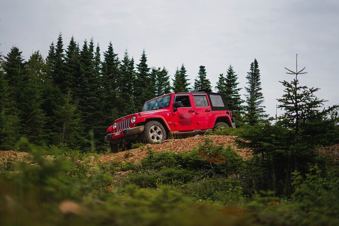Cape Clear Look-off Express - Private Jeep Tour - Discovering Margaree Valley and Its Hidden Gems