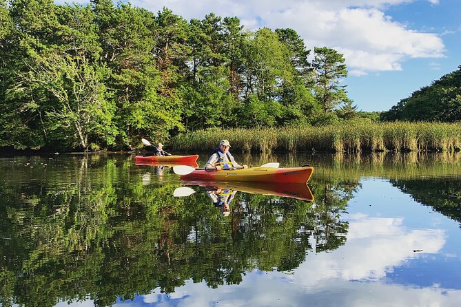 Cape Cod Kayak Rentals in the Great Marsh - The Great Marsh: A Unique Kayaking Destination on Cape Cod