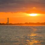 Cape May: Weekend Whale and Dolphin Watching Cruise - Departure from Miss Chris Marina at Cape May