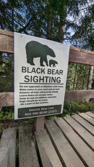 Capilano Br+Granville Isl+Capilano Hatchery+Lynn Canyon Tour - Crossing the Iconic Capilano Suspension Bridge