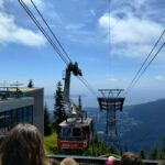 Capilano Br+Grouse Mtn+Dam+Lake&Hatcher/5in1/Small Group/Car - Discover Capilano Suspension Bridge and Treetop Adventure