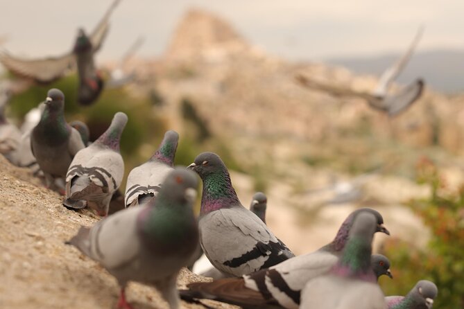 Cappadocia Private Guided Tour(Car&Licensed Guide) - Exploring the Artistic Tradition of Avanos