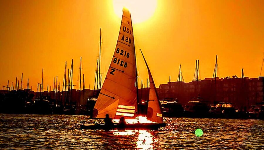 Capture LA's Coastal Magic-Wildlife, Marina Photography Tour - Scenic Waterway Exploration and Wildlife Spotting