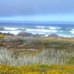 Carmel Tour in The Heavenly 17 Mile Drive - Exploring the Iconic Poppy Hills Golf Course